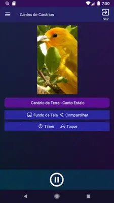 Cantos de Canários android App screenshot 2
