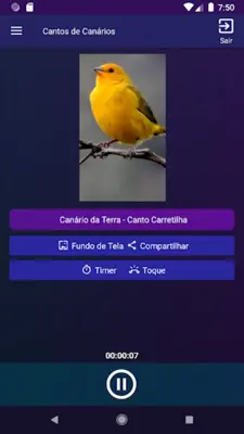 Cantos de Canários android App screenshot 4
