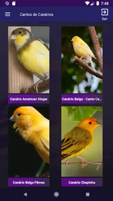 Cantos de Canários android App screenshot 5
